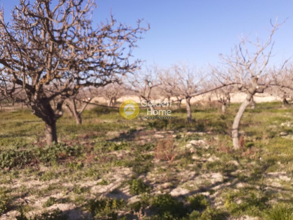 Οικόπεδο στην Κυψέλη, Αίγινα — Φωτογραφία 1 από 8
