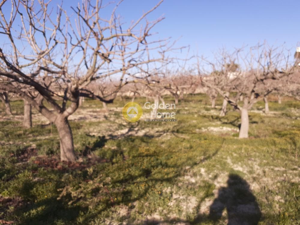 Οικόπεδο στην Κυψέλη, Αίγινα — Φωτογραφία 7 από 8
