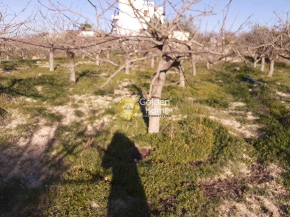 Οικόπεδο στην Κυψέλη, Αίγινα — Φωτογραφία 6 από 6
