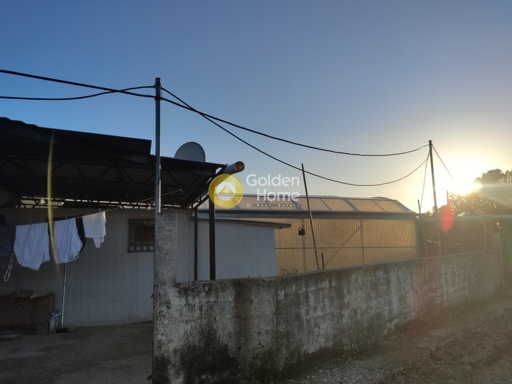 Parcel in Megala Sxoinia A, Acharnes — Photo 5 of 14