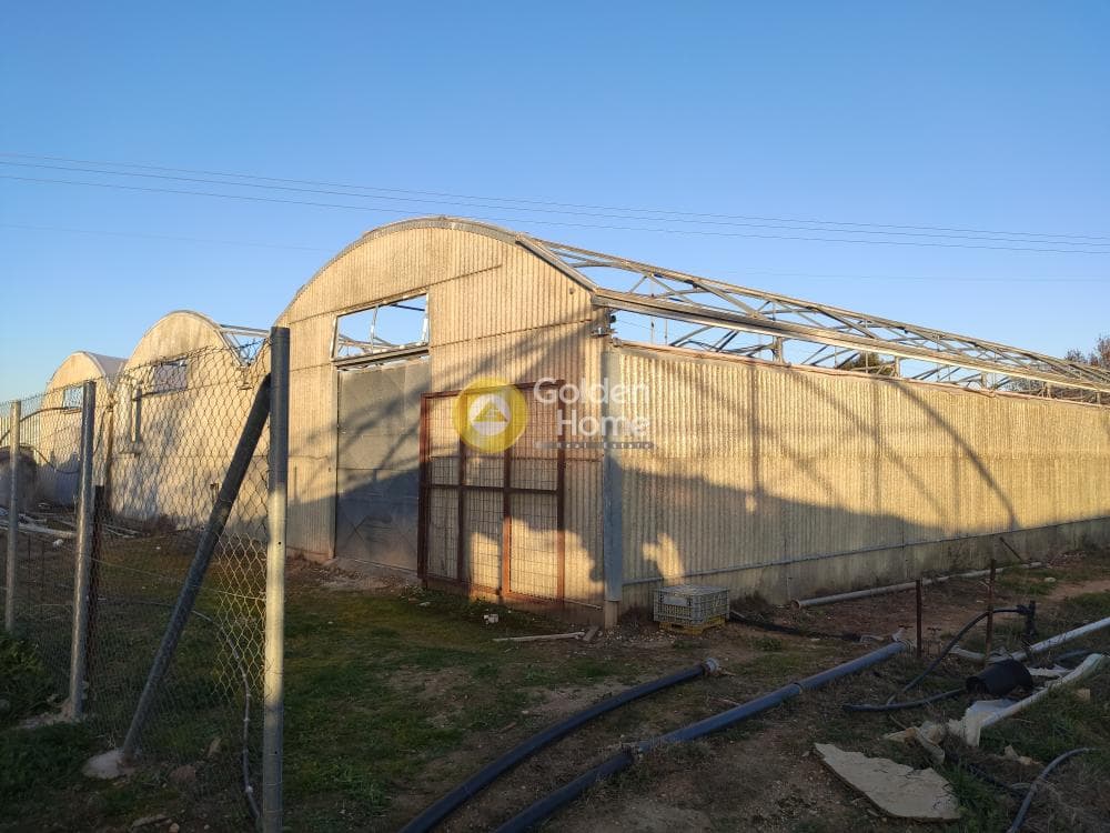 Parcel in Megala Sxoinia A, Acharnes — Photo 4 of 14
