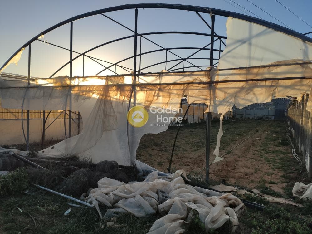 Parcel in Megala Sxoinia A, Acharnes — Photo 10 of 14