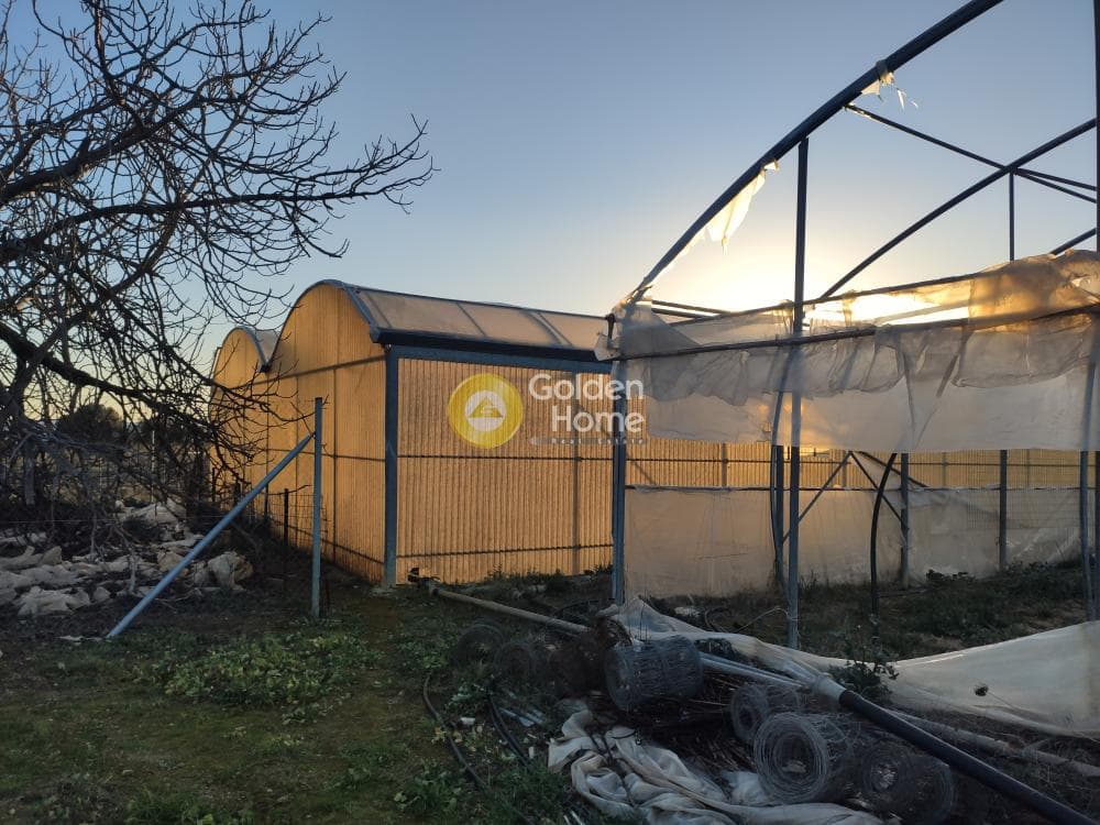 Parcel in Megala Sxoinia A, Acharnes — Photo 11 of 14