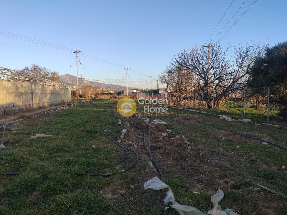 Parcel in Megala Sxoinia A, Acharnes — Photo 13 of 14