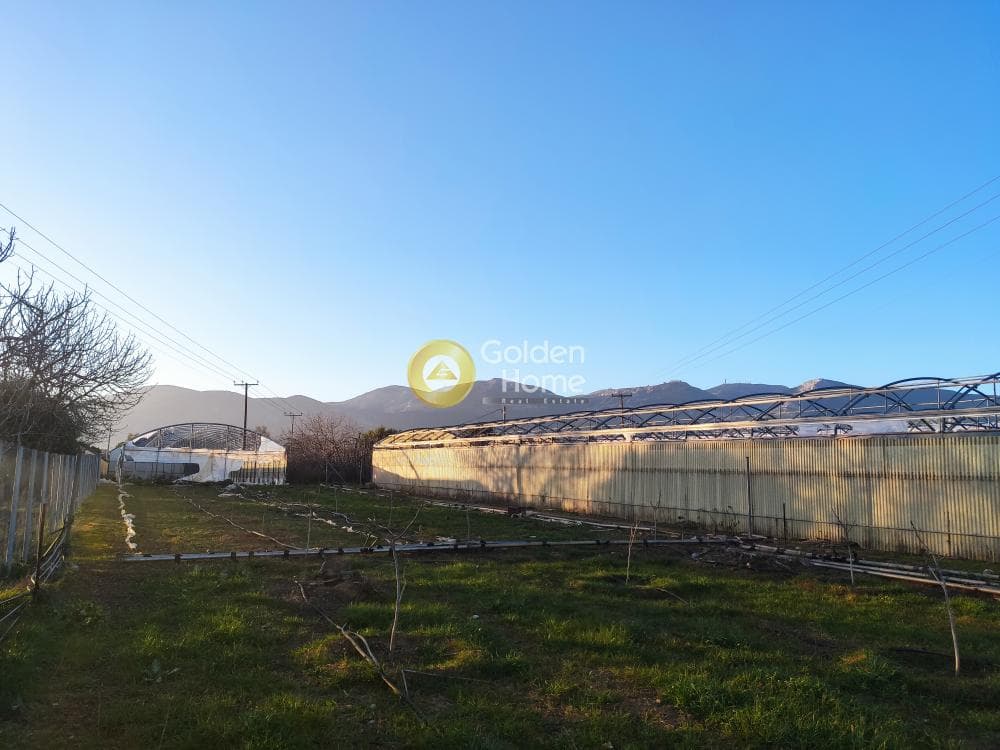 Parcel in Megala Sxoinia A, Acharnes — Photo 6 of 14