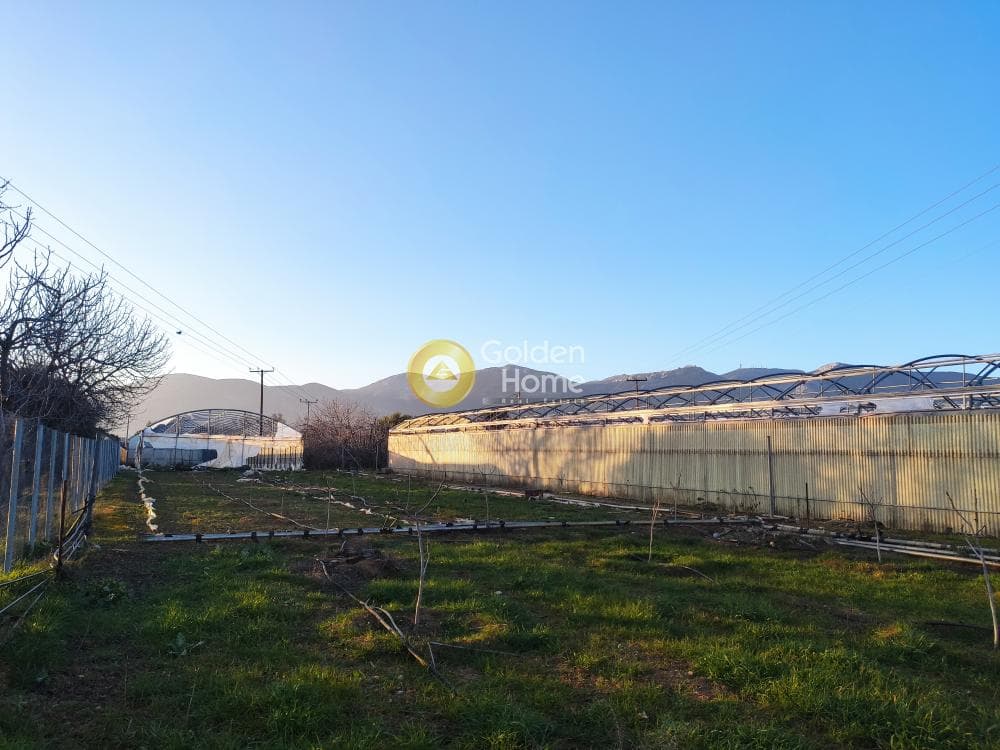 Parcel in Megala Sxoinia A, Acharnes — Photo 1 of 14