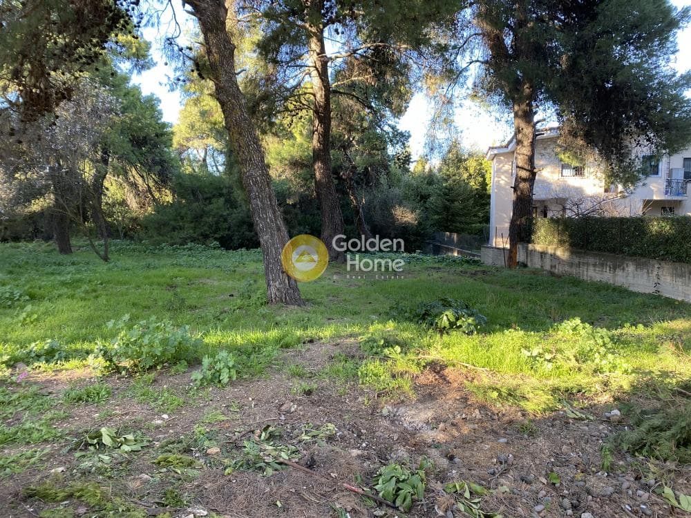Building Plot in Agia Paraksevi, Anoixi — Photo 1 of 2