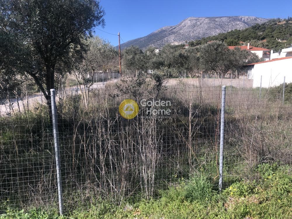 Parcel in Center, Koropi — Photo 2 of 4