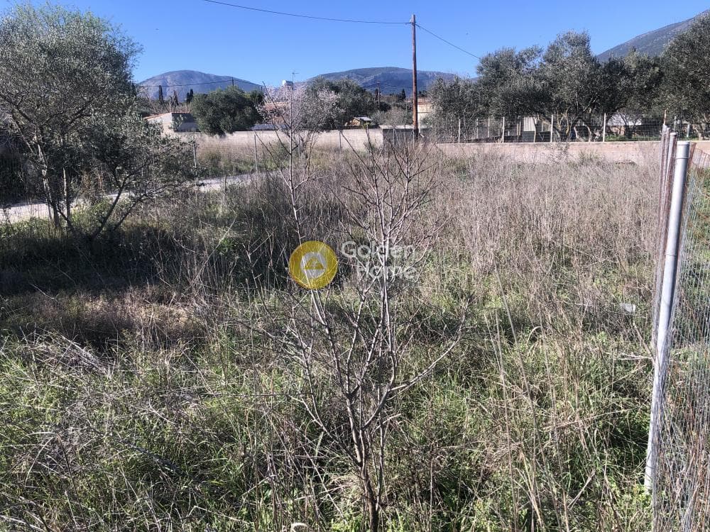 Parcel in Center, Koropi — Photo 4 of 4