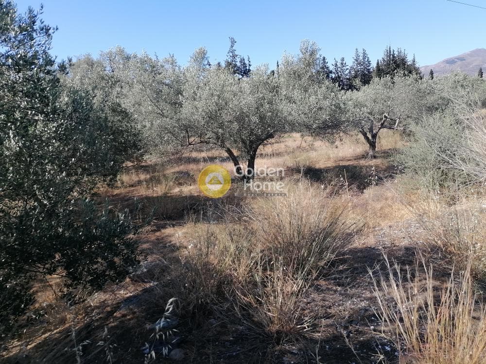 Αγροτεμάχιο στην Μονόχωρο, Μοίρες — Φωτογραφία 6 από 20