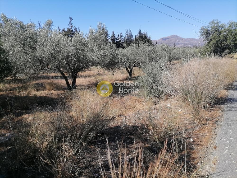 Αγροτεμάχιο στην Μονόχωρο, Μοίρες — Φωτογραφία 7 από 20