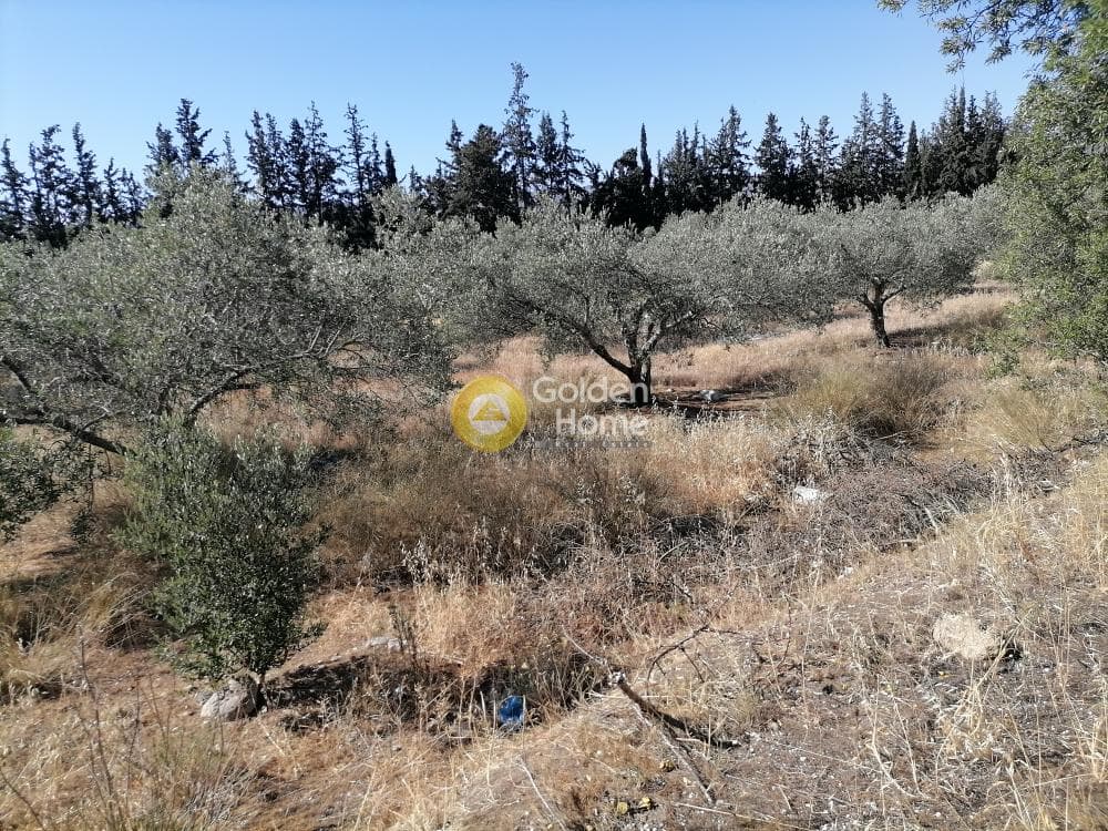 Αγροτεμάχιο στην Μονόχωρο, Μοίρες — Φωτογραφία 8 από 20