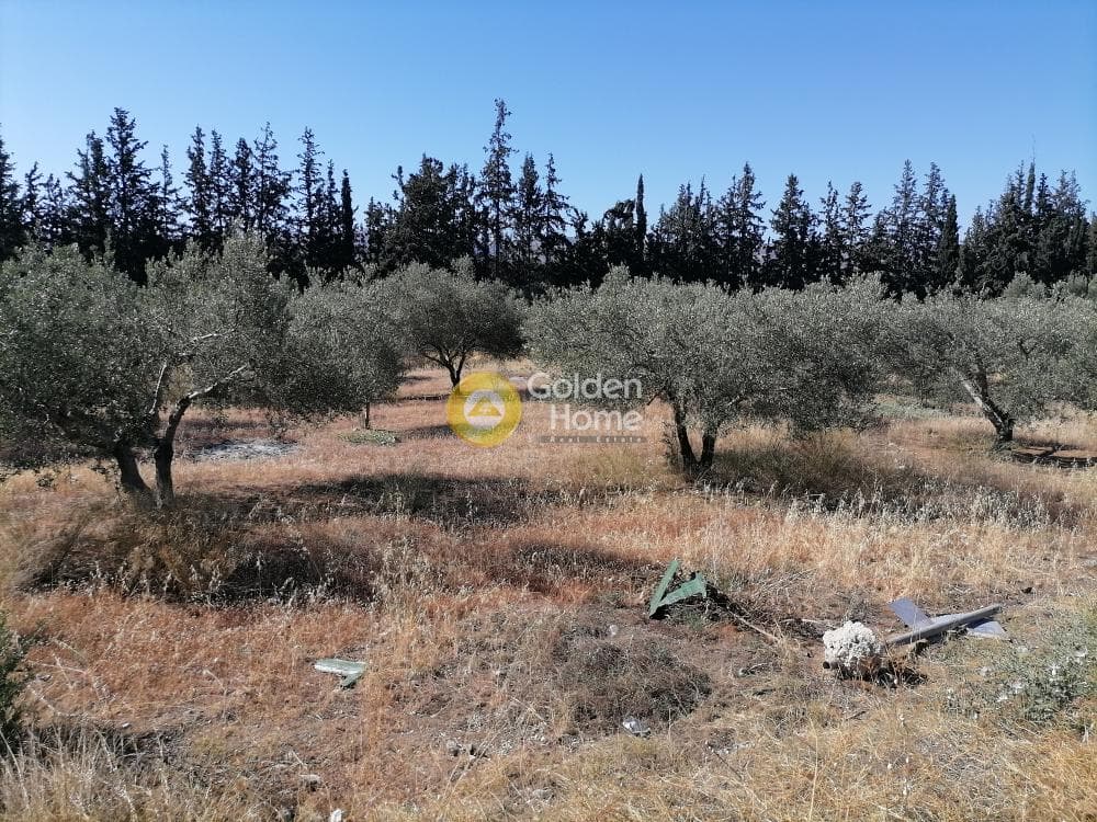 Αγροτεμάχιο στην Μονόχωρο, Μοίρες — Φωτογραφία 9 από 20