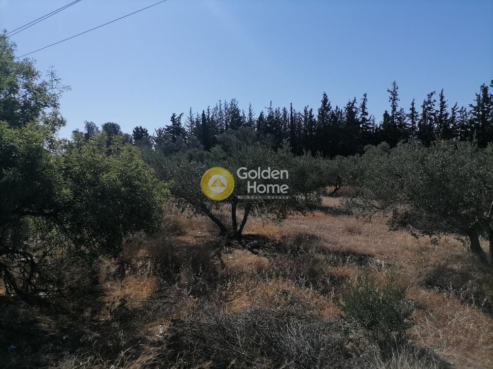 Αγροτεμάχιο στην Μονόχωρο, Μοίρες — Φωτογραφία 3 από 20