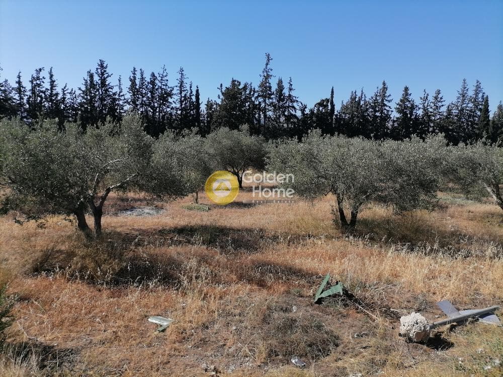 Αγροτεμάχιο στην Μονόχωρο, Μοίρες — Φωτογραφία 4 από 20