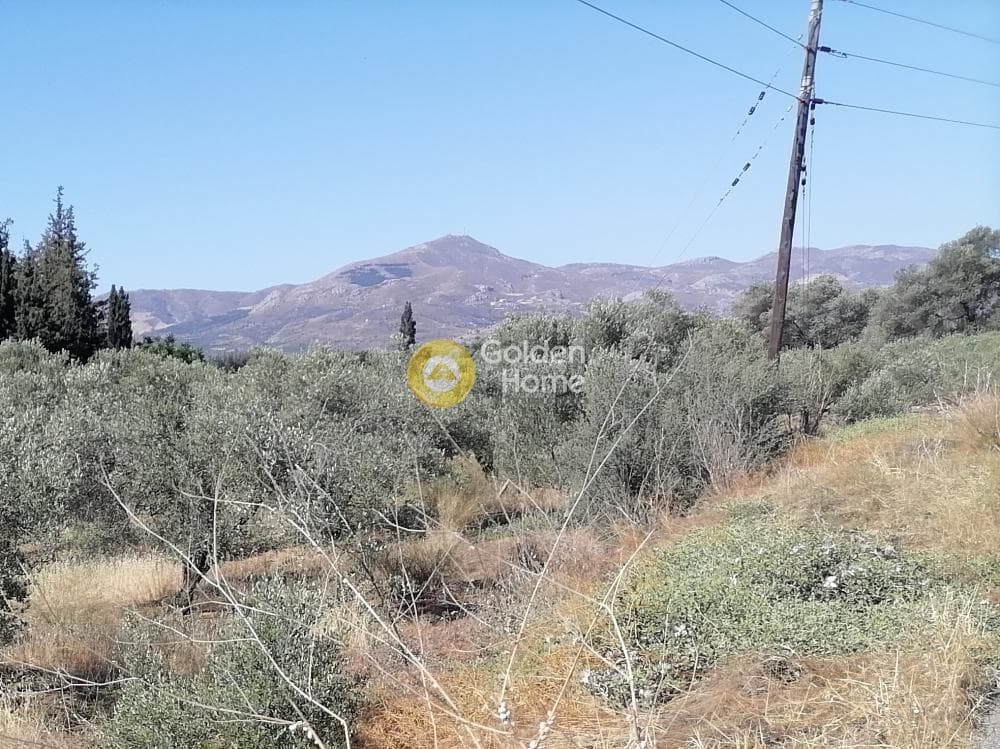 Αγροτεμάχιο στην Μονόχωρο, Μοίρες — Φωτογραφία 10 από 20