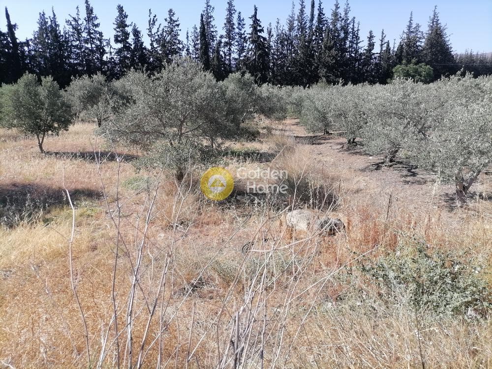 Αγροτεμάχιο στην Μονόχωρο, Μοίρες — Φωτογραφία 2 από 20