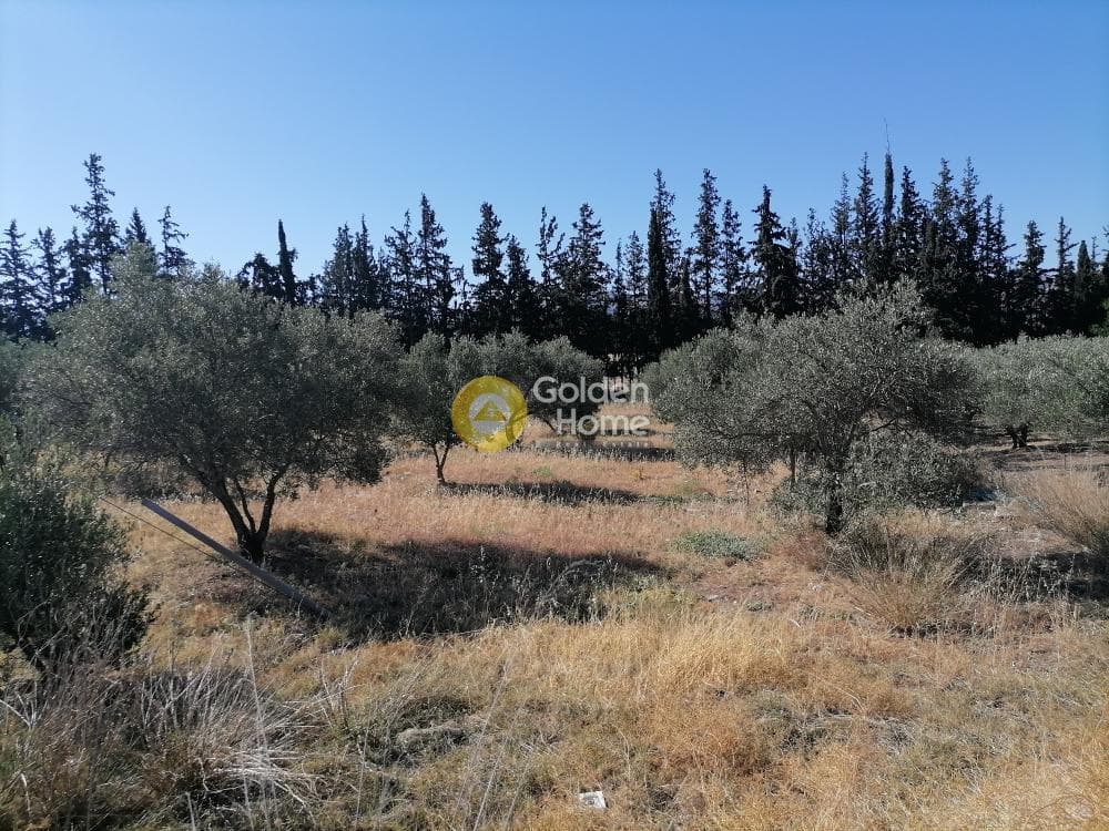 Αγροτεμάχιο στην Μονόχωρο, Μοίρες — Φωτογραφία 15 από 20