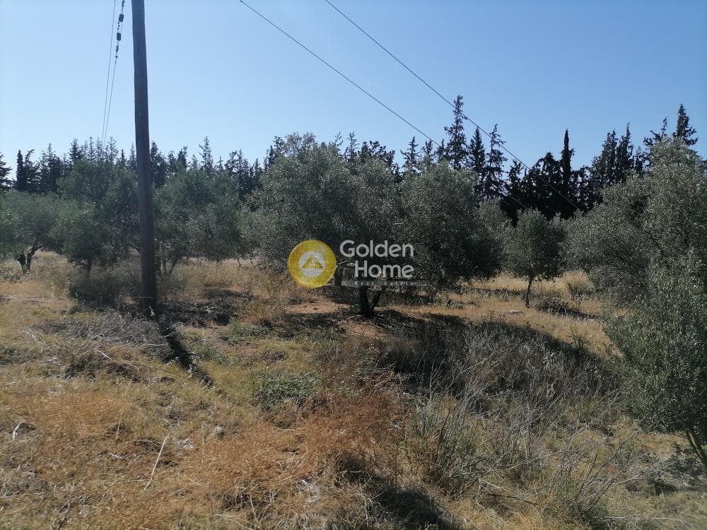 Αγροτεμάχιο στην Μονόχωρο, Μοίρες — Φωτογραφία 16 από 20