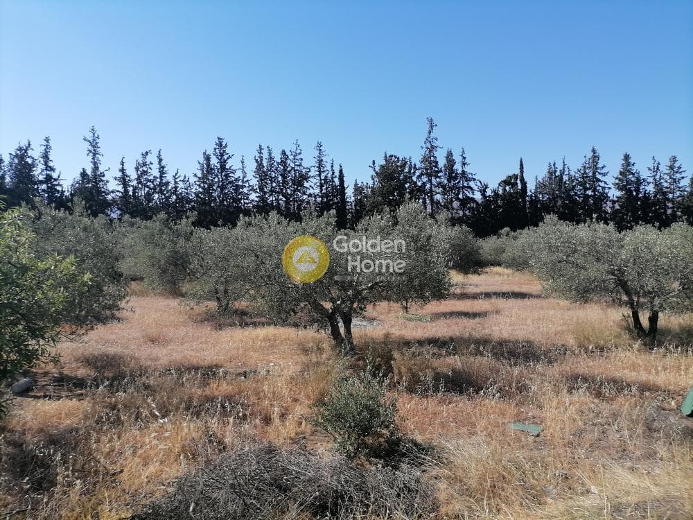 Αγροτεμάχιο στην Μονόχωρο, Μοίρες — Φωτογραφία 17 από 20