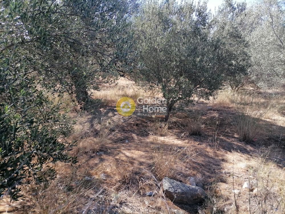 Αγροτεμάχιο στην Μονόχωρο, Μοίρες — Φωτογραφία 19 από 20