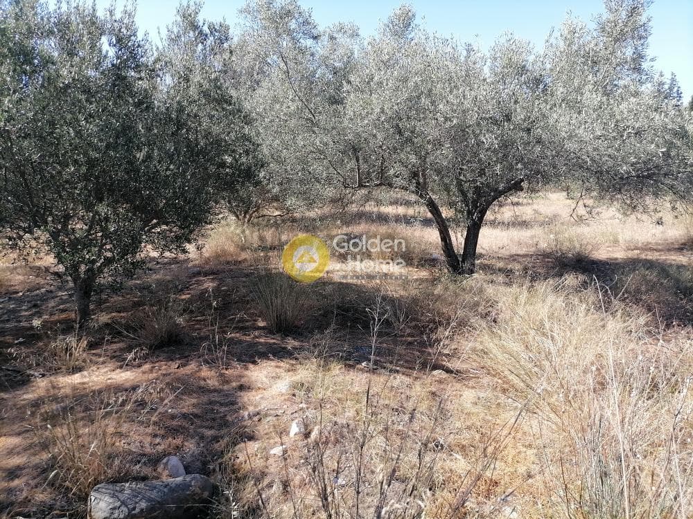 Αγροτεμάχιο στην Μονόχωρο, Μοίρες — Φωτογραφία 20 από 20
