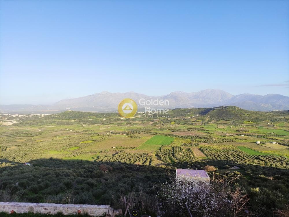 Parcel in Zinta, Arkalochori — Photo 4 of 19