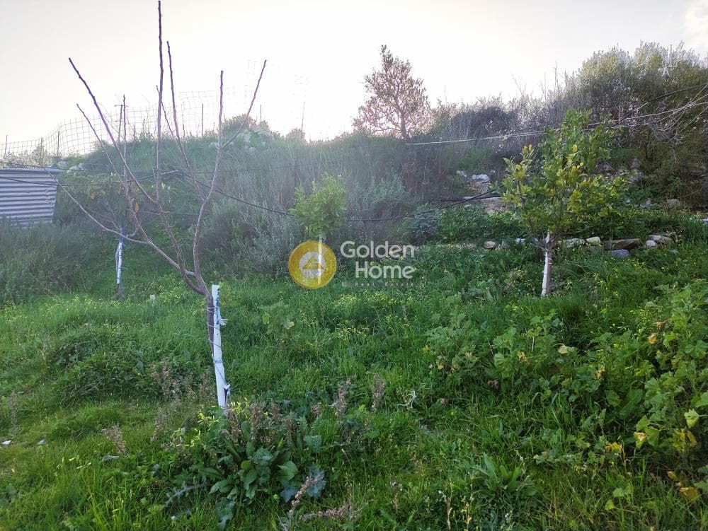 Parcel in Zinta, Arkalochori — Photo 7 of 19