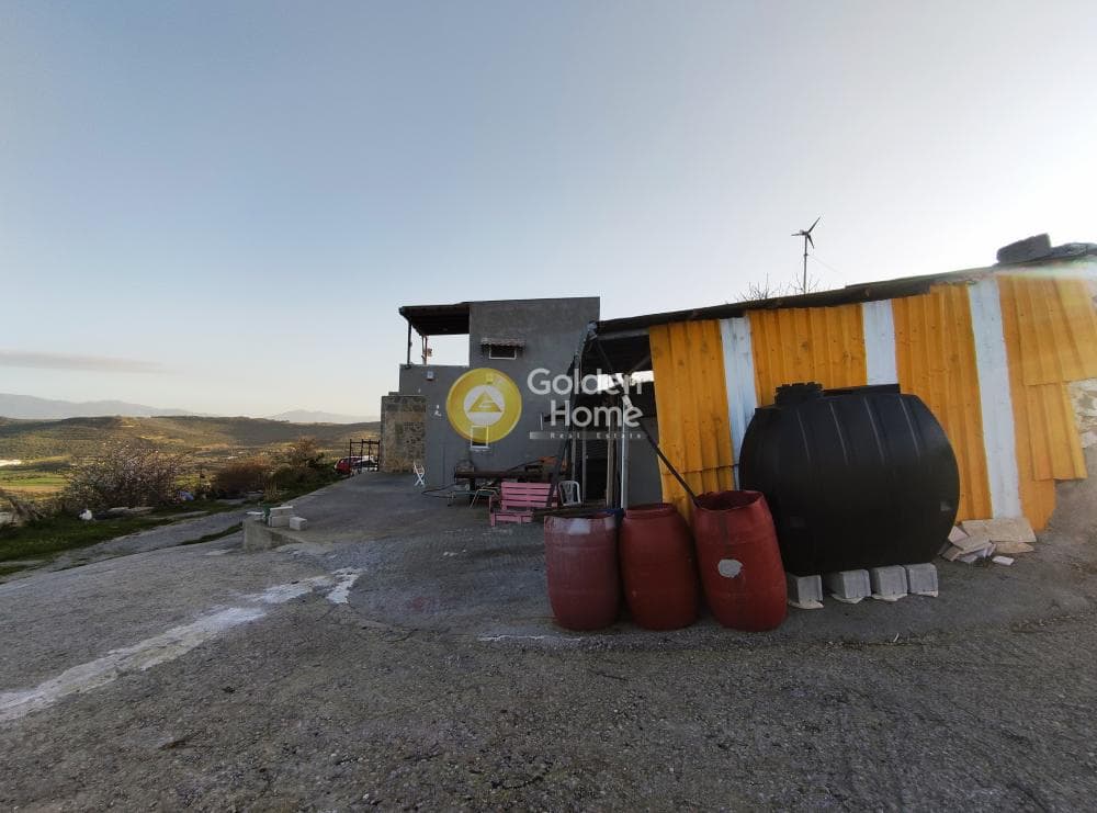 Parcel in Zinta, Arkalochori — Photo 16 of 19