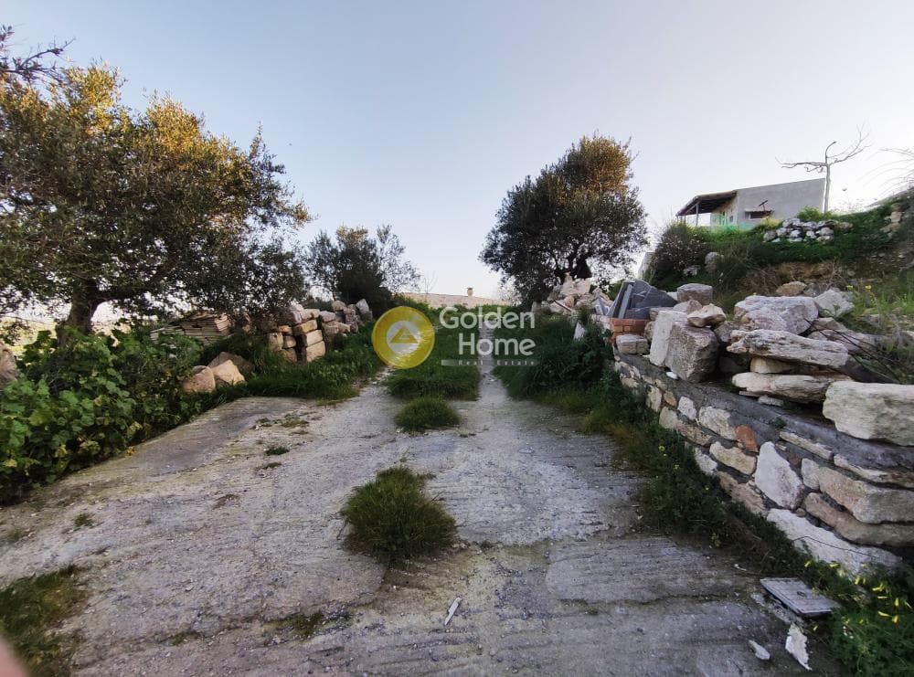 Parcel in Zinta, Arkalochori — Photo 9 of 19