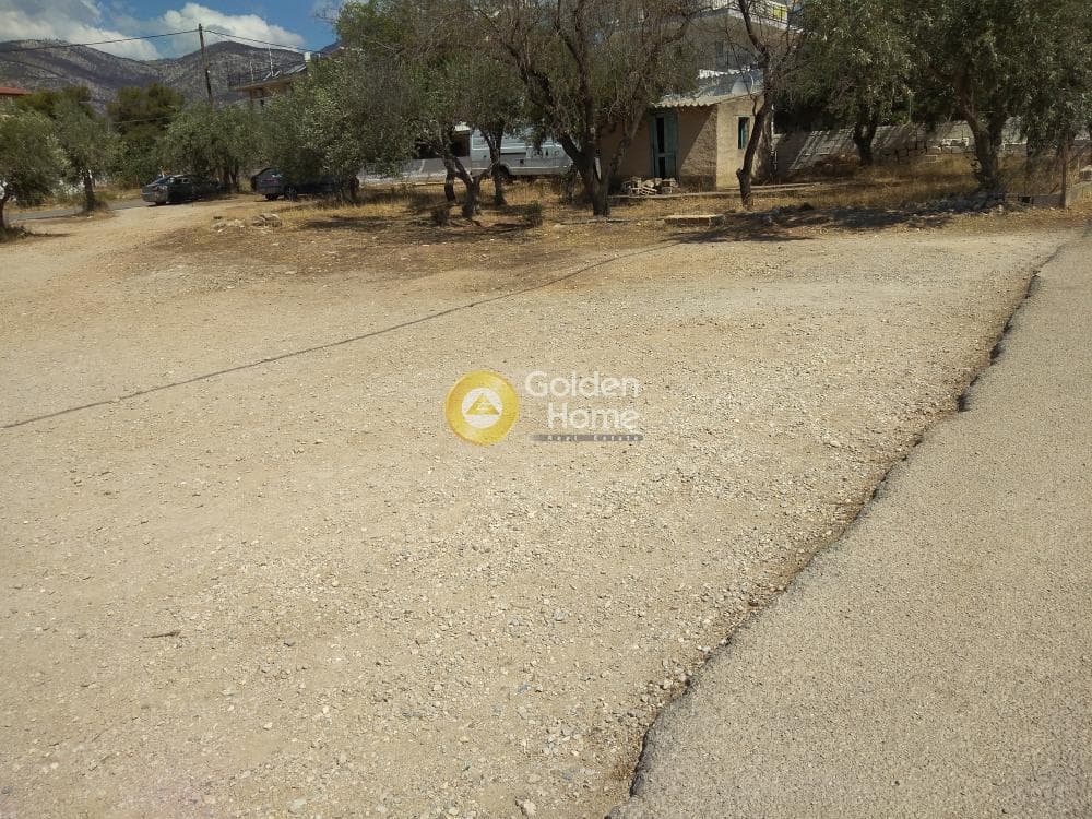 Αγροτεμάχιο στην Μεγάλα Σχοινία Α, Αχαρνές — Φωτογραφία 2 από 8