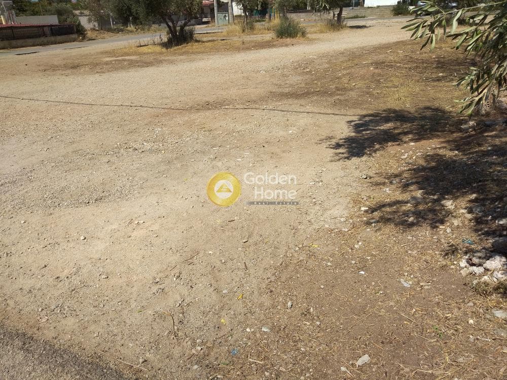 Αγροτεμάχιο στην Μεγάλα Σχοινία Α, Αχαρνές — Φωτογραφία 8 από 8