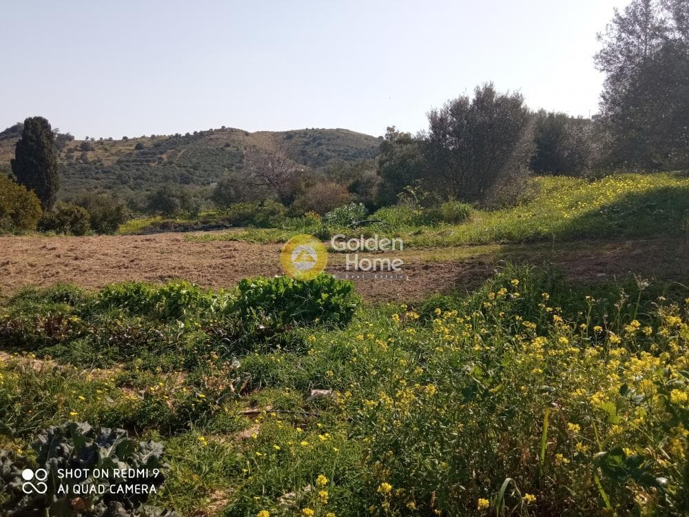 Parcel in Kouses, Moires — Photo 1 of 11