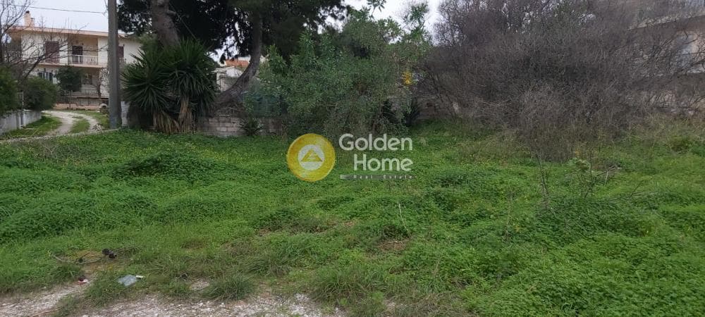 Αγροτεμάχιο στην Βορινέζα, Αρτέμιδα (Λούτσα) — Φωτογραφία 7 από 8