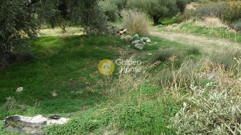 Οικόπεδο στην Άγιος Βλάσιος, Αρχάνες — Φωτογραφία 3 από 7