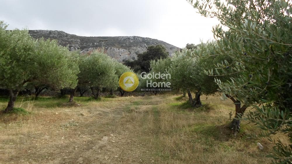 Οικόπεδο στην Άγιος Βλάσιος, Αρχάνες — Φωτογραφία 4 από 7