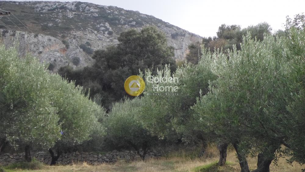 Οικόπεδο στην Άγιος Βλάσιος, Αρχάνες — Φωτογραφία 6 από 7