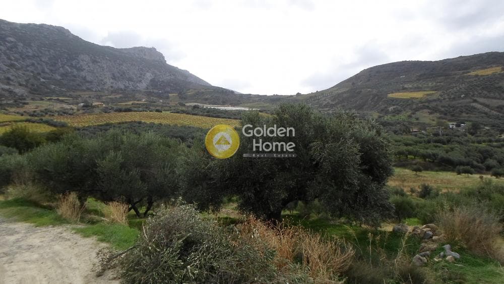 Οικόπεδο στην Άγιος Βλάσιος, Αρχάνες — Φωτογραφία 7 από 7