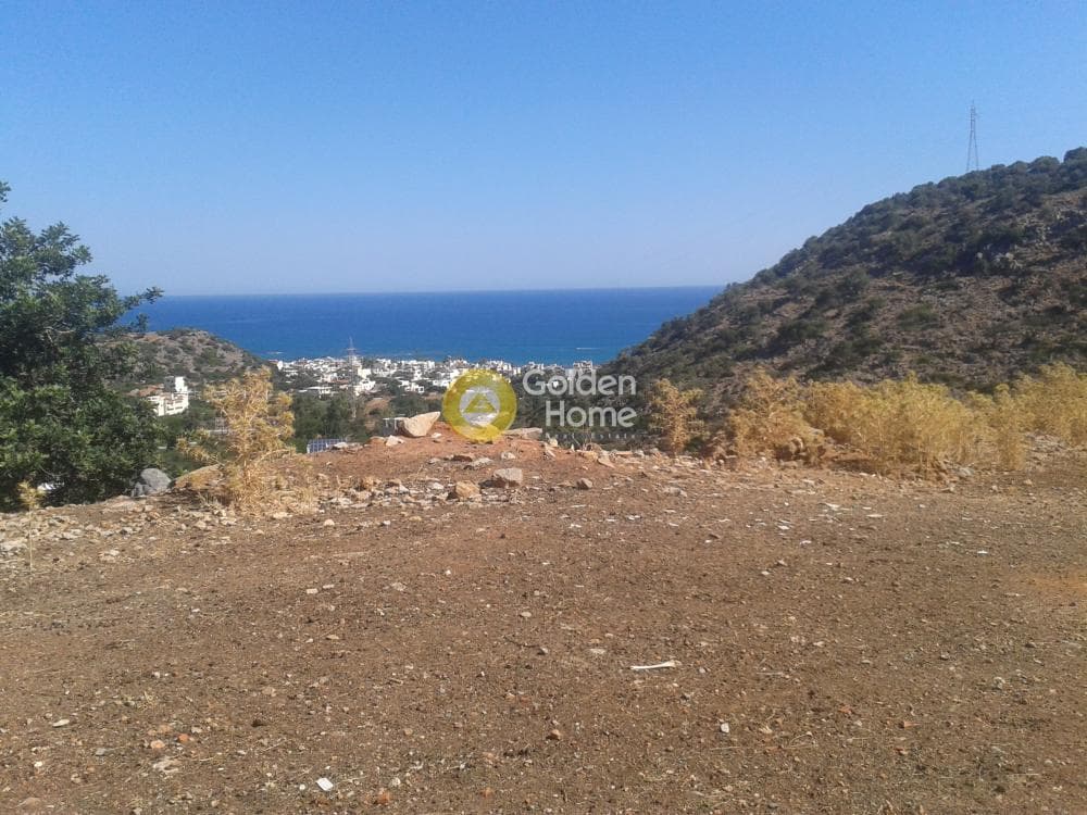 Αγροτεμάχιο στην Σταλίδα, Μάλλια — Φωτογραφία 3 από 3