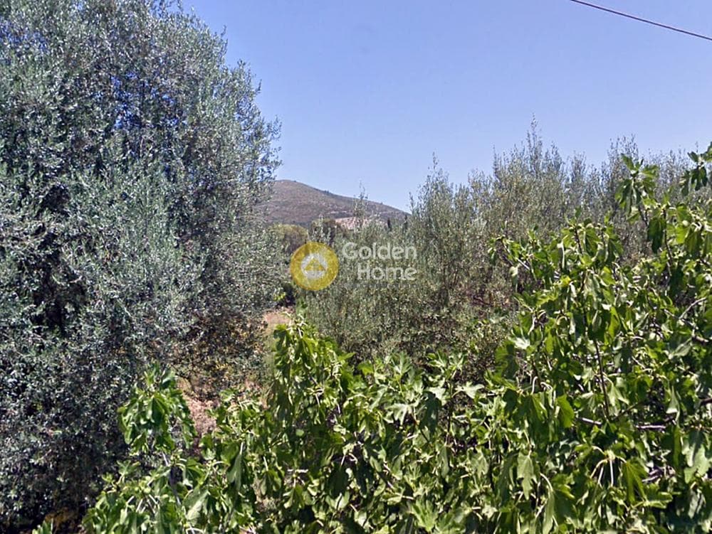 Οικόπεδο στην Κέντρο, Μαραθώνας