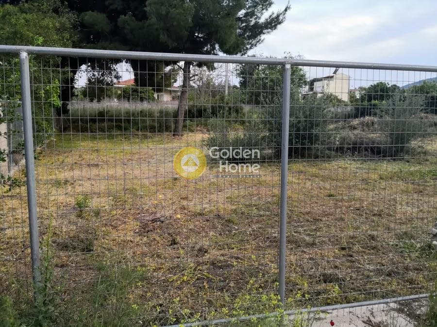 Οικόπεδο στην Νέο Λιβύσσι, Νέα Μάκρη — Φωτογραφία 2 από 6