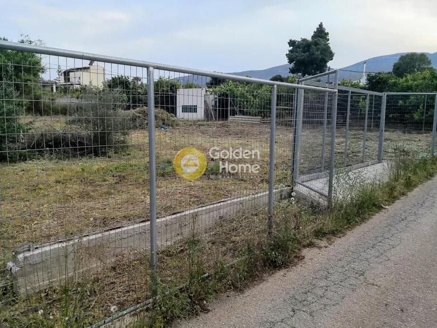 Οικόπεδο στην Νέο Λιβύσσι, Νέα Μάκρη — Φωτογραφία 3 από 6