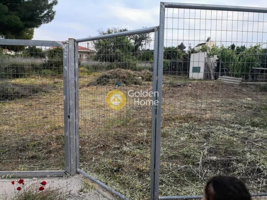 Οικόπεδο στην Νέο Λιβύσσι, Νέα Μάκρη — Φωτογραφία 6 από 6