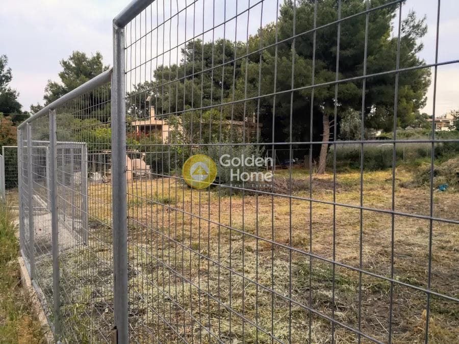 Οικόπεδο στην Νέο Λιβύσσι, Νέα Μάκρη — Φωτογραφία 4 από 6