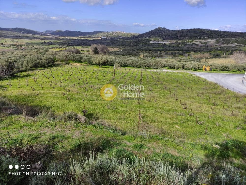 Building Plot in Astritsi, Arkalochori — Photo 4 of 5