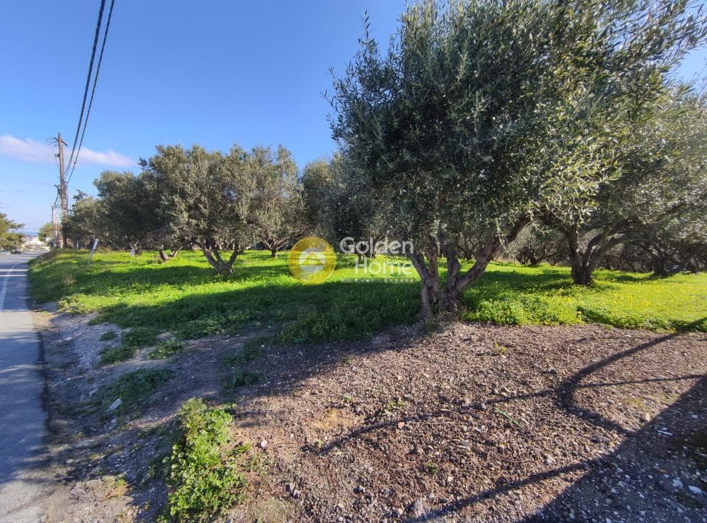 Building Plot in Vasileies, Archanes — Photo 4 of 7