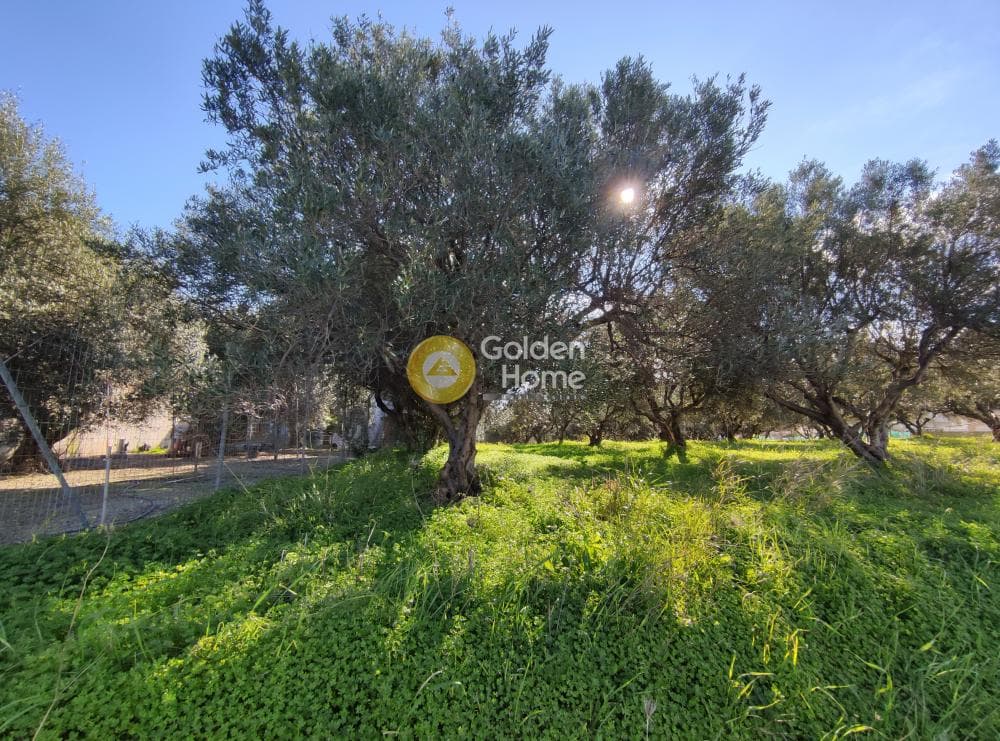 Building Plot in Vasileies, Archanes — Photo 6 of 7
