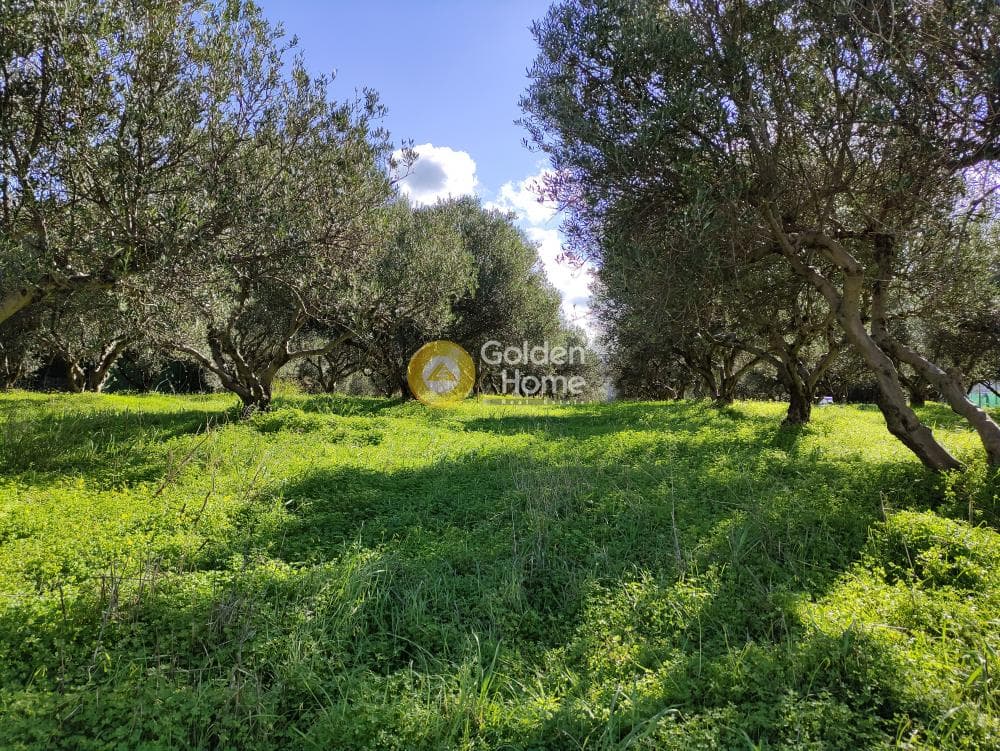 Building Plot in Vasileies, Archanes — Photo 7 of 7