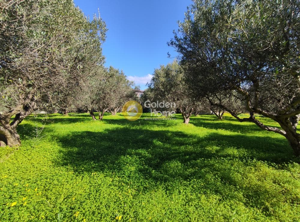 Building Plot in Vasileies, Archanes — Photo 1 of 7