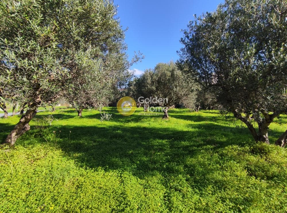Building Plot in Vasileies, Archanes — Photo 2 of 7
